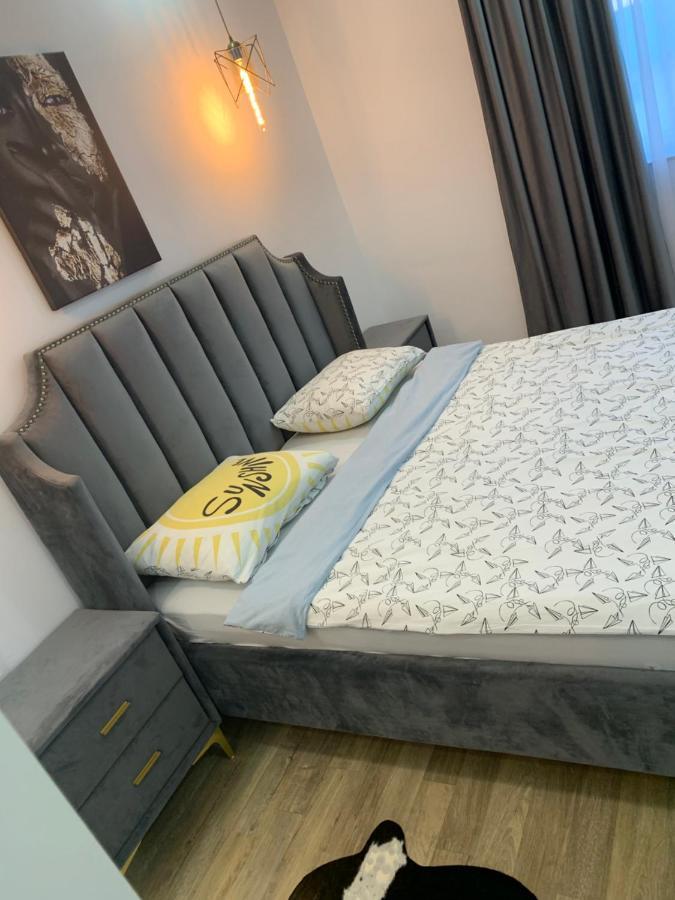 Raphael Apartment North Bucharest Cosmopolis Stefanestii de Jos ภายนอก รูปภาพ